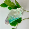 Dichroic Aural Conch Shell