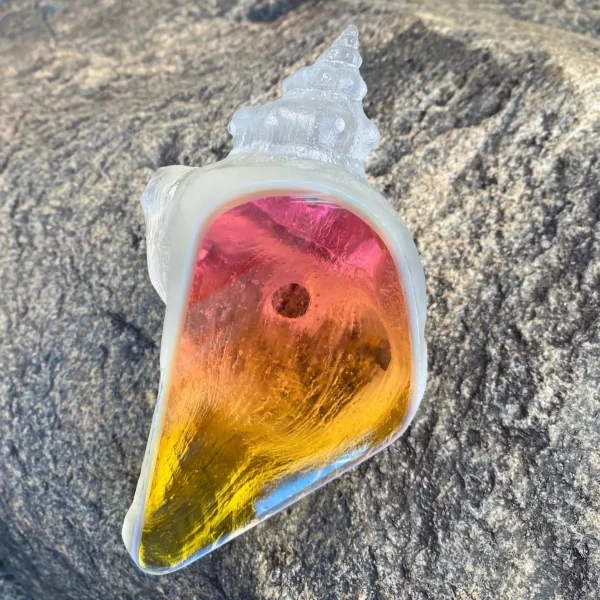 Dichroic Aural Conch Shell