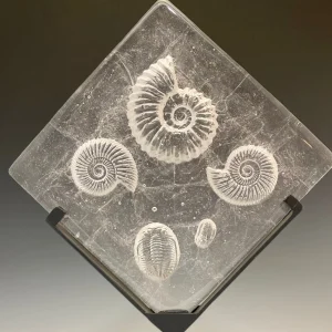 Fossil Panel Square on Metal Base