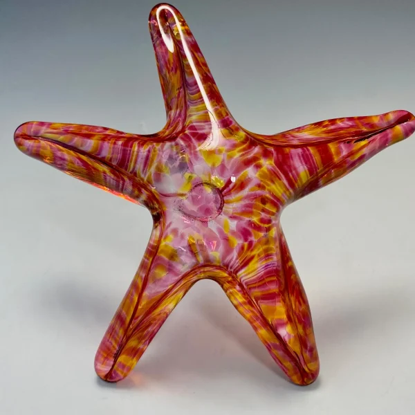 Hanging Starfish