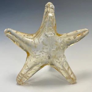 Hanging Starfish
