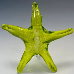 Hanging Starfish