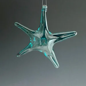 Hanging Starfish