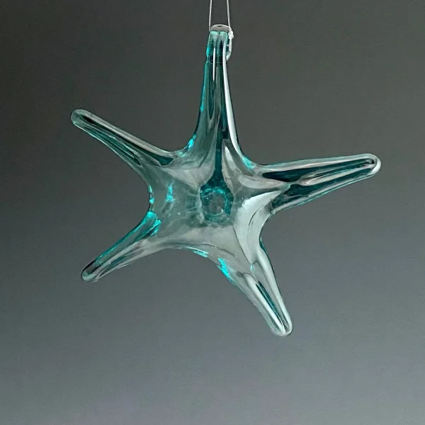 Hanging Starfish