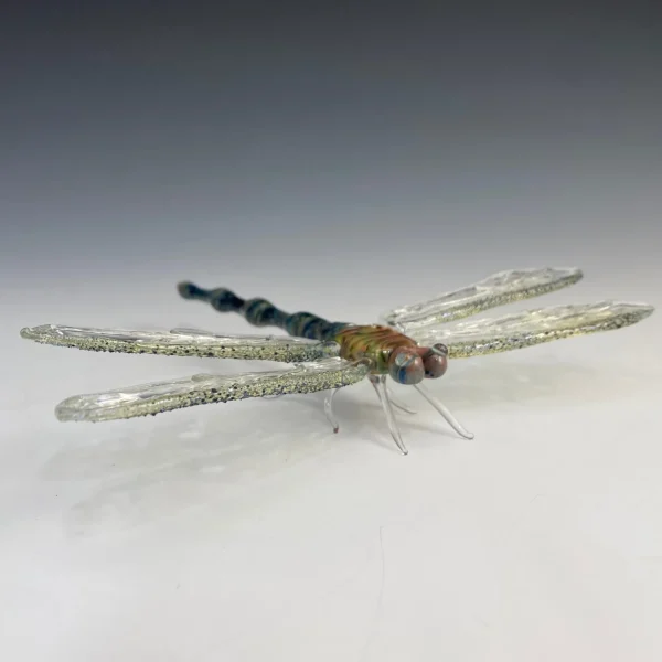 Large Dragonfly