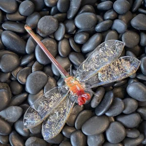 Large Dragonfly