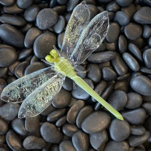 Large Dragonfly