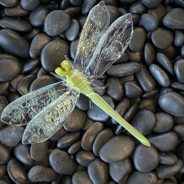 Large Dragonfly