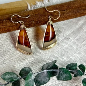 Montana Agate Earrings with 14k Gold Wire Wrap