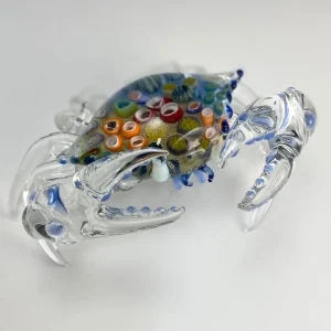 Reef Shell Crab