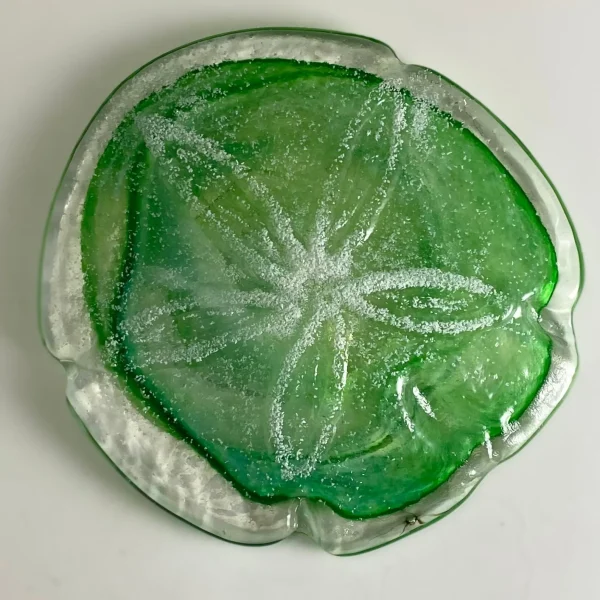 Sand Dollars