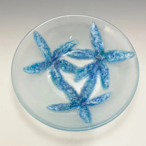 Starfish Bowl