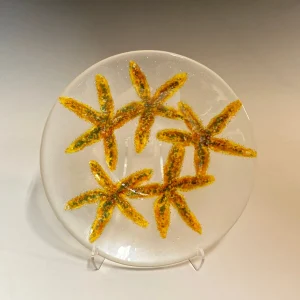 Starfish Bowl
