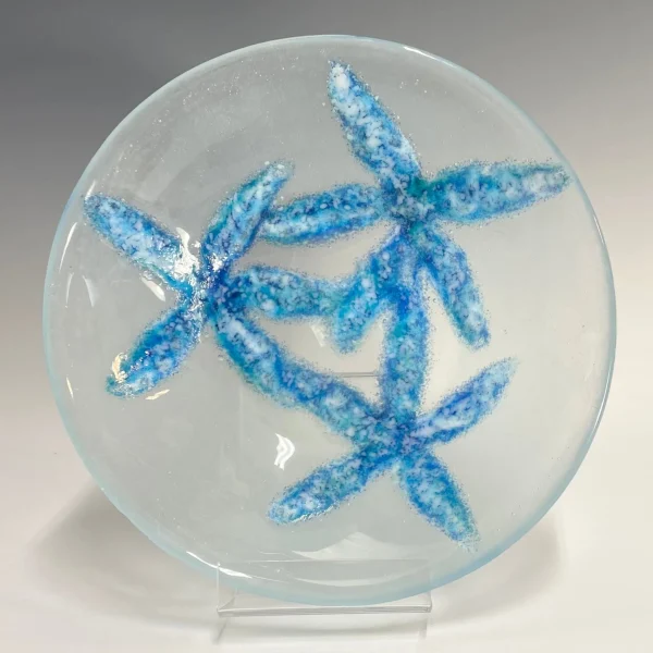 Starfish Bowl