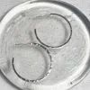 Sterling Silver Small Peer Hoop Earring