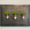 Three French Breakfast Radishes